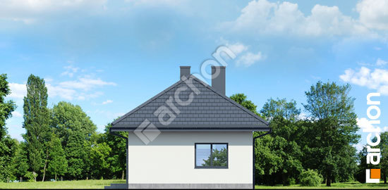 Бочний фасад Будинок в коручках 9 ВДЕ