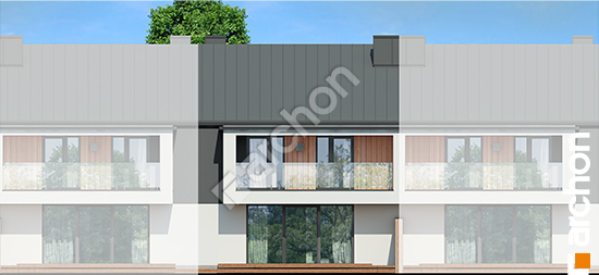 Дворовой фасад Дом в клематисах 28 (С)