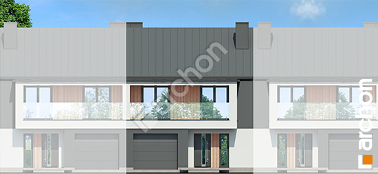 Передний фасад Дом в клематисах 28 (С)