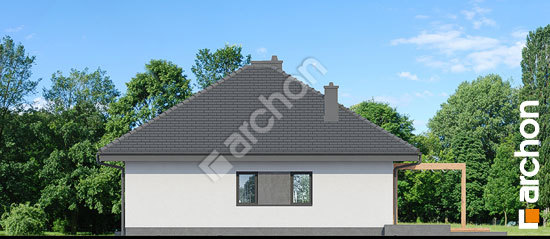 Боковой фасад Дом в сантолинах 6