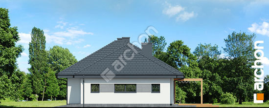 Бочний фасад Будинок в сантолінах 4 (Г2)