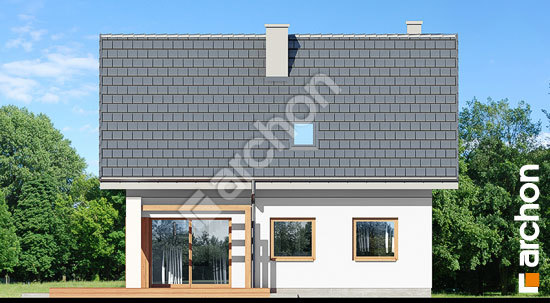 Дворовий фасад Будинок в немофілах