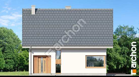 Передний фасад Дом в немофилах