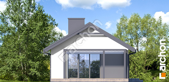 Бочний фасад Будинок в коручках 7