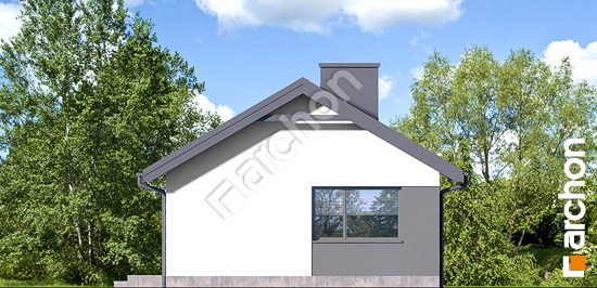 Боковой фасад Дом в коручках 7