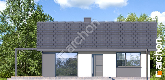 Передній фасад Будинок в коручках 7