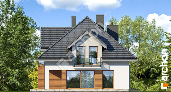 Дворовой фасад Дом в березах