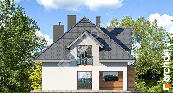 Передній фасад Будинок в березах