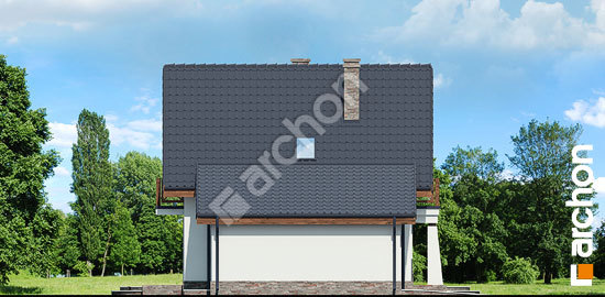 Бочний фасад Будинок у винограді (Г) вер.3