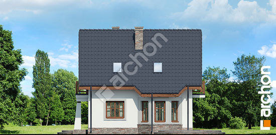 Боковой фасад Дом в винограде (Г) вер.3