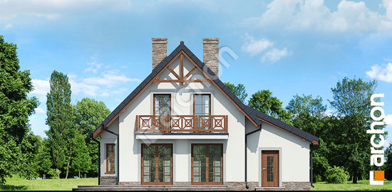 Дворовой фасад Дом в винограде (Г) вер.3