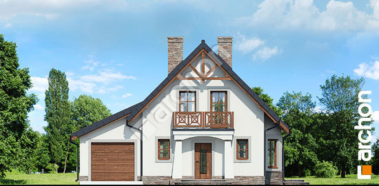 Передній фасад Будинок у винограді (Г) вер.3