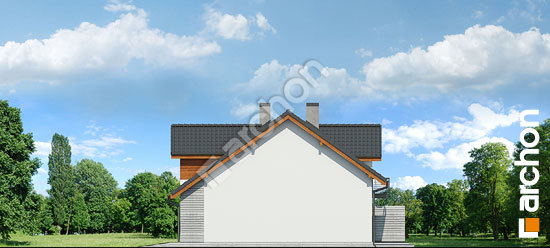 Боковой фасад Дом в клематисах 9 (Р2БТА)