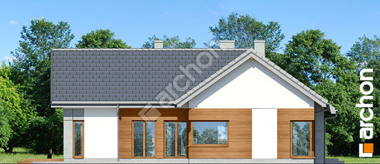 Бочний фасад Будинок в галах