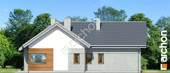 Боковой фасад Дом в галах