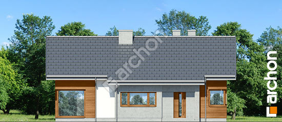 Передній фасад Будинок в галах