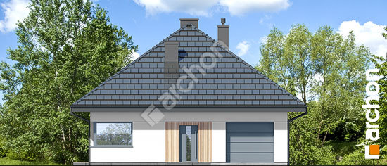 Передній фасад Будинок в хакетіях 9 (Г)