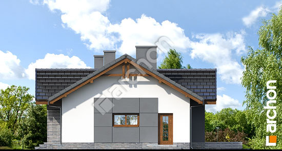 Боковой фасад Дом в неринах вер.2