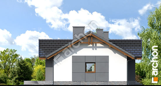 Боковой фасад Дом в неринах вер.2