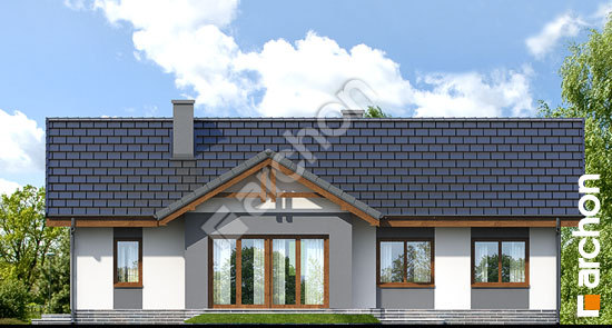 Дворовий фасад Будинок в нерінах вер.2