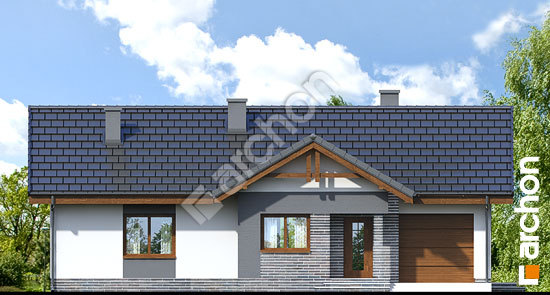 Передній фасад Будинок в нерінах вер.2