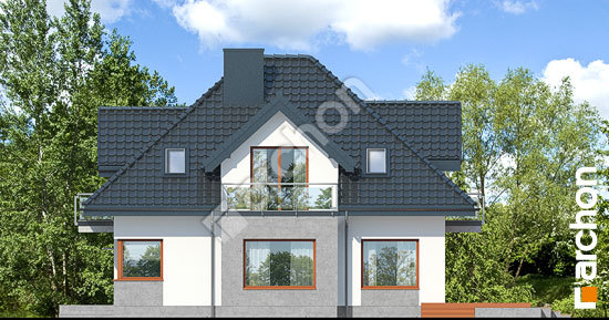 Бочний фасад Будинок в багрянику (П)