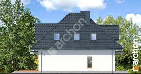 Боковой фасад Дом в багрянике (П)