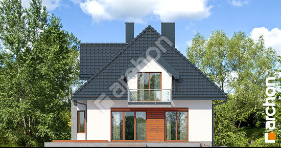 Дворовой фасад Дом в багрянике (П)