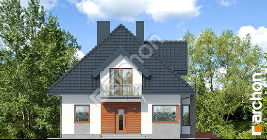 Передній фасад Будинок в багрянику (П)