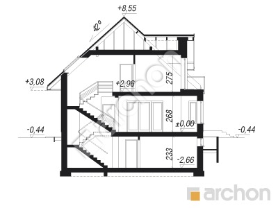 Проект дома ARCHON+ Дом в багрянике (П) Розріз будинку