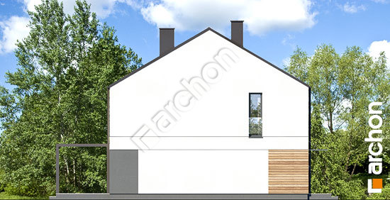 Боковой фасад Дом в ривиях 14