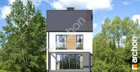 Дворовой фасад Дом в ривиях 14