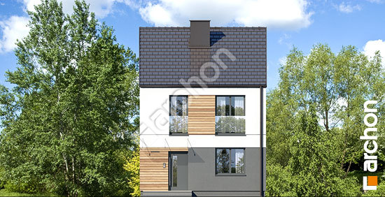 Передний фасад Дом в ривиях 14