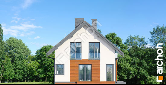 Бочний фасад Будинок в кропликах