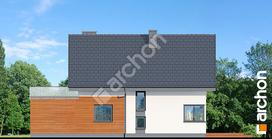 Дворовий фасад Будинок в кропликах