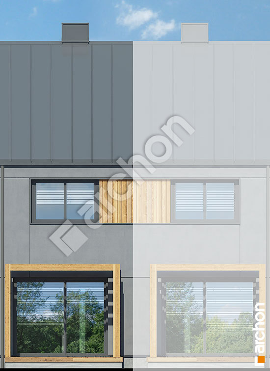 Дворовий фасад Будинок в рео (С)