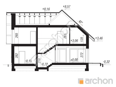 Проєкт будинку ARCHON+ Будинок орлішках 3  Розріз будинку