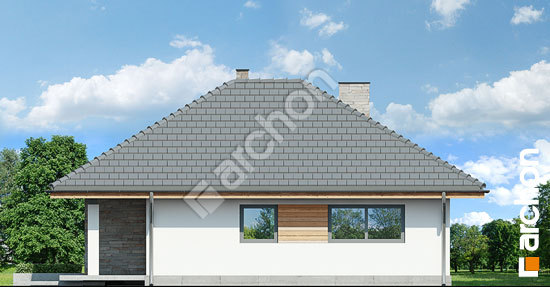 Бочний фасад Будинок в бузку вер.2