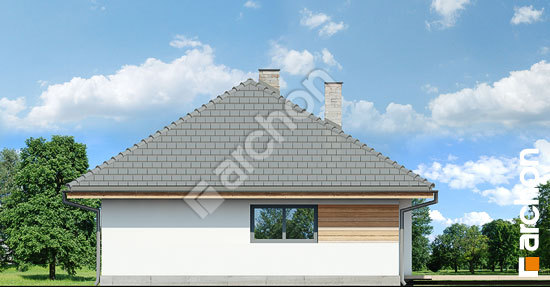 Дворовой фасад Дом в сирени вер.2