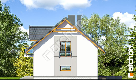 Бочний фасад Будинок в рододендронах 16 (В)