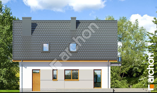 Дворовой фасад Дом в рододендронах 16 (В)