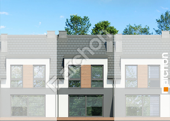 Дворовой фасад Дом в ривиях 16 (ГС) вер.2