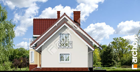 Бочний фасад Будинок в ананасах вер.2