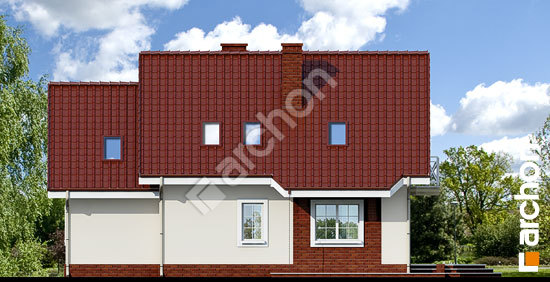 Дворовий фасад Будинок в ананасах вер.2