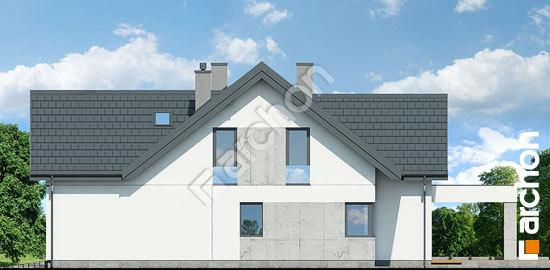 Бочний фасад Будинок у феліціях (Г2П)