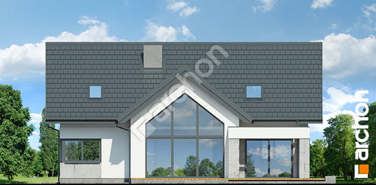 Дворовой фасад Дом в фелициях (Г2П)