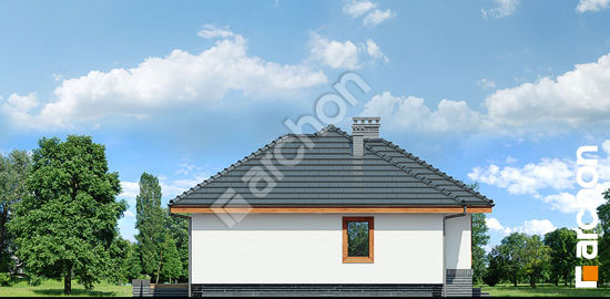 Боковой фасад Дом в вереске вер. 2