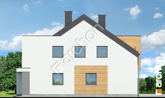 Боковой фасад Дом под гинко 7 (ГБН)