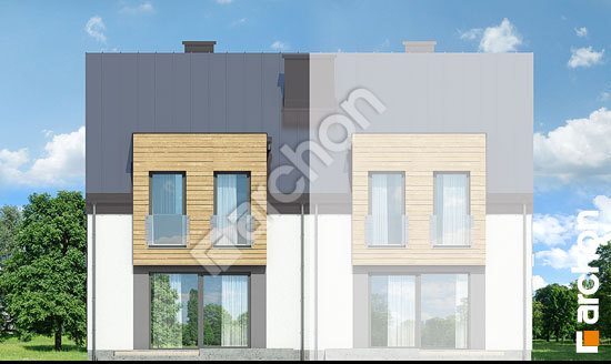 Дворовой фасад Дом под гинко 7 (ГБН)