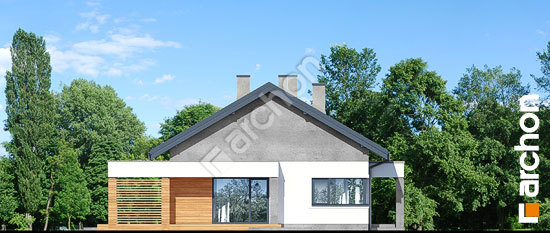 Бочний фасад Будинок в мекінтошах 10